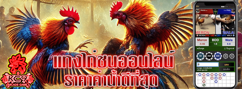 แทงไก่ชนออนไลน์