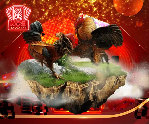 ไก่ชนออนไลน์