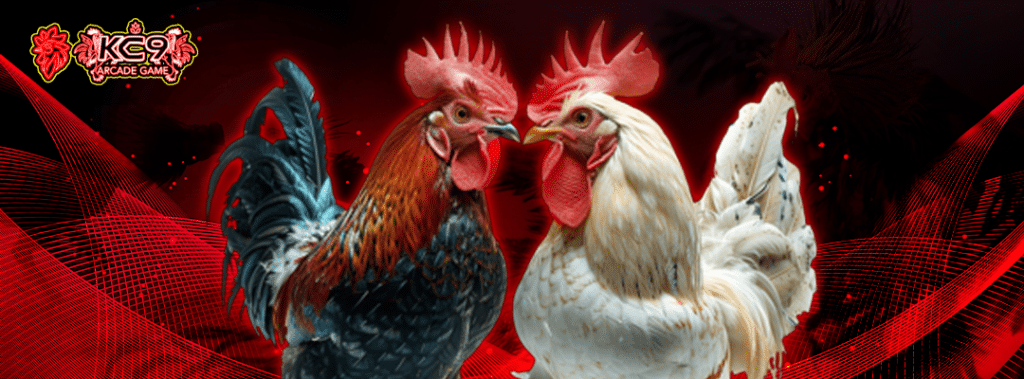 เกมเดิมพันไก่ชนออนไลน์