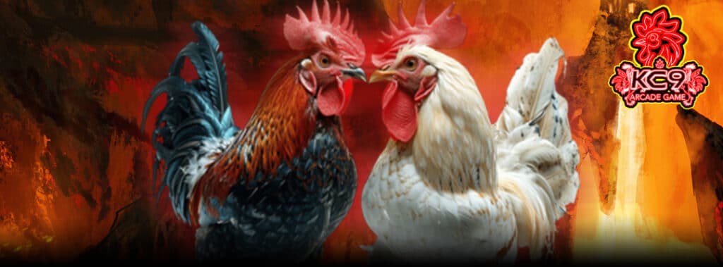 liveไก่ชน