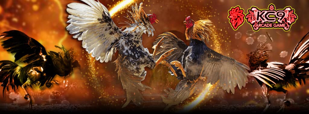 แทงไก่ชน