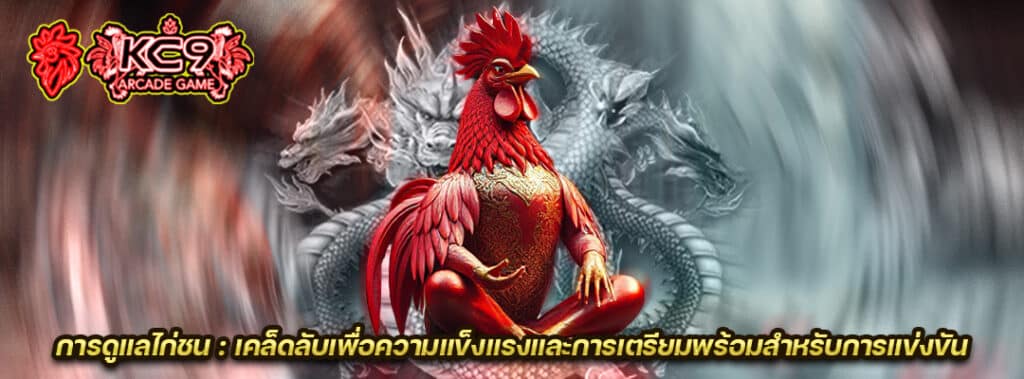 การดูแลไก่ชน