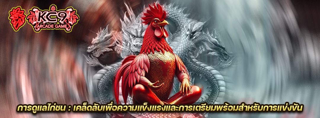 การดูแลไก่ชน