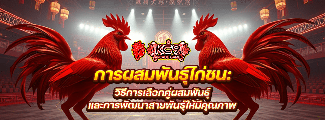 การผสมพันธุ์ไก่ชน