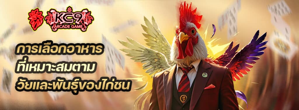 การเลือกอาหารไก่ชน