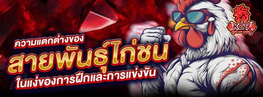 สายพันธุ์ไก่ชน