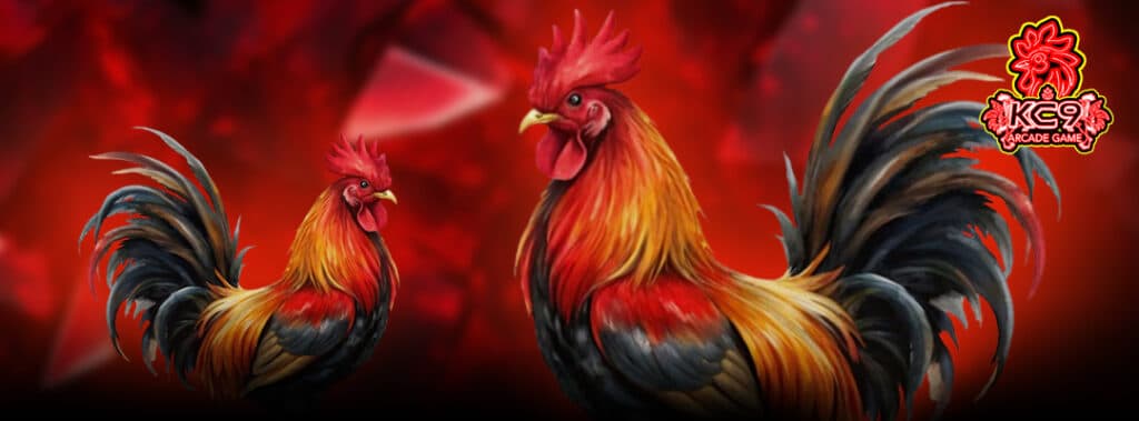 สายพันธุ์ไก่ชน
