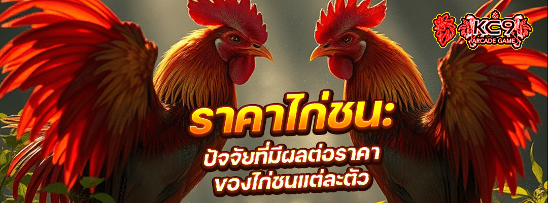 ราคาไก่ชน