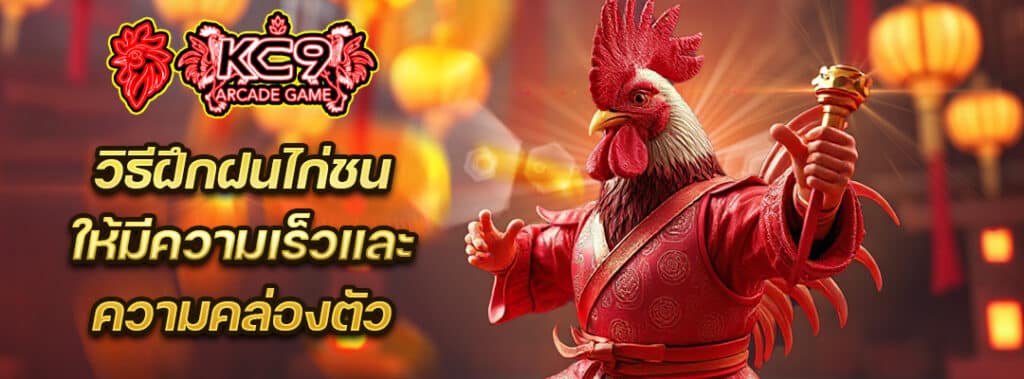 วิธีฝึกไก่ชน