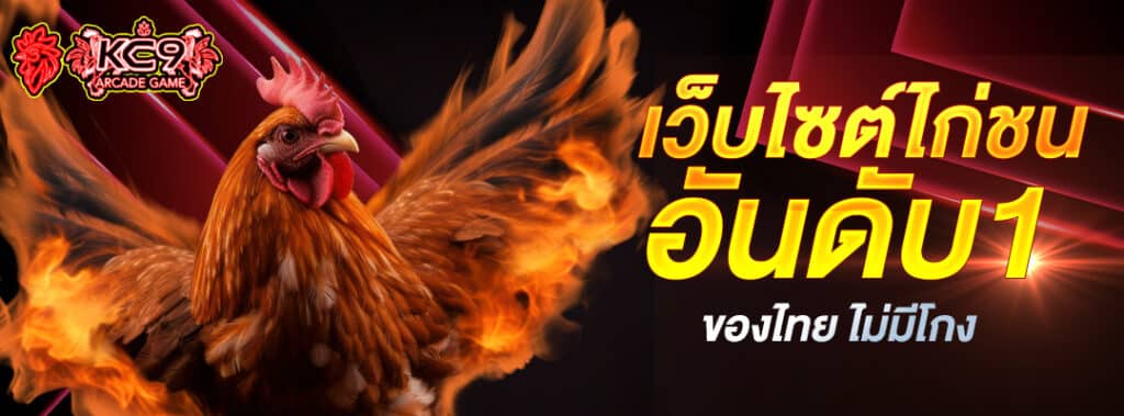 เว็บไซต์ไก่ชนอันดับ1