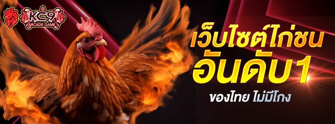เว็บไซต์ไก่ชนอันดับ1