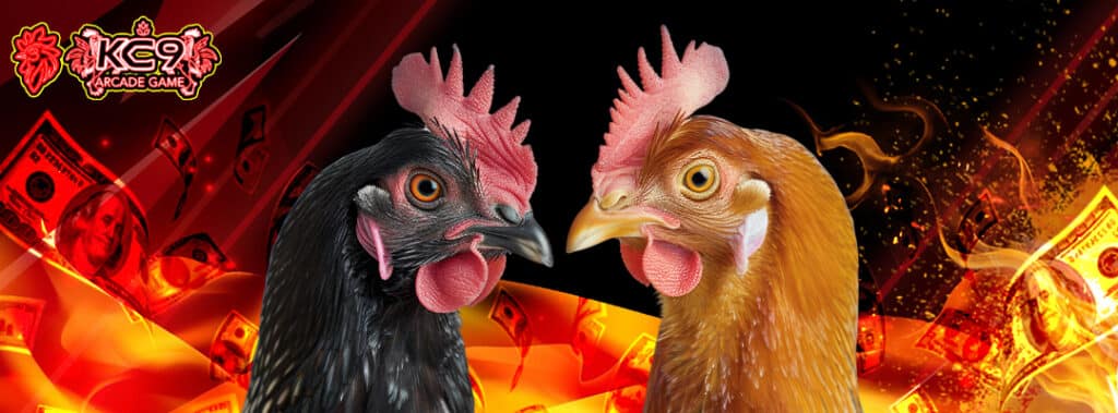 เว็บไซต์ไก่ชนอันดับ1