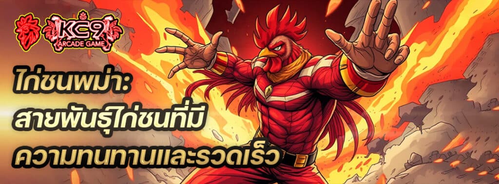 ไก่ชนพม่า