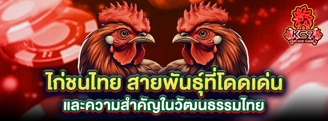 ไก่ชนไทย