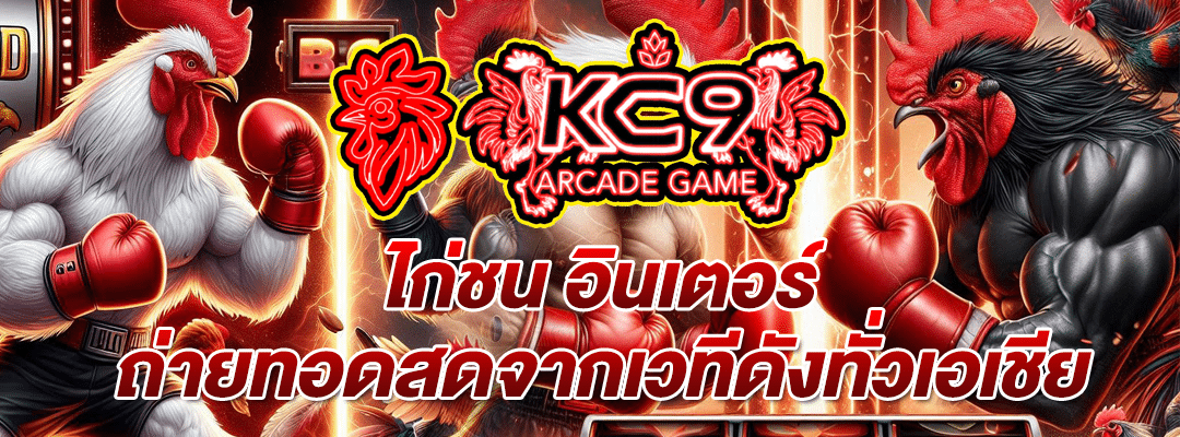 ไก่ชน อินเตอร์