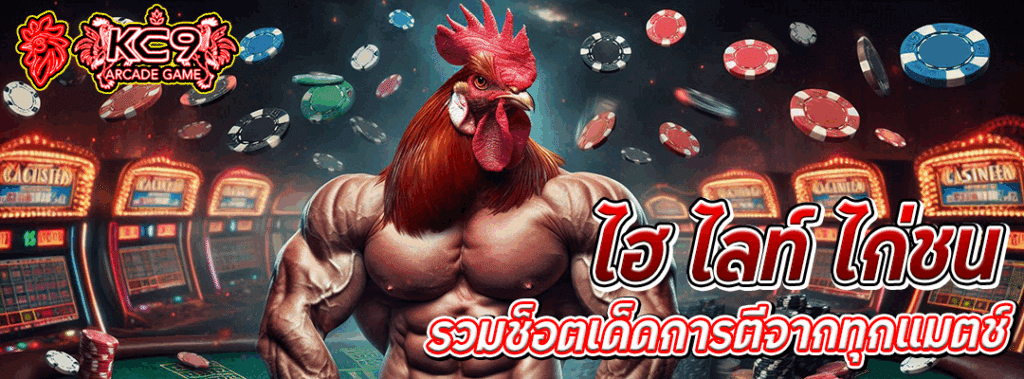 ไฮ ไล ท์ ไก่ชน
