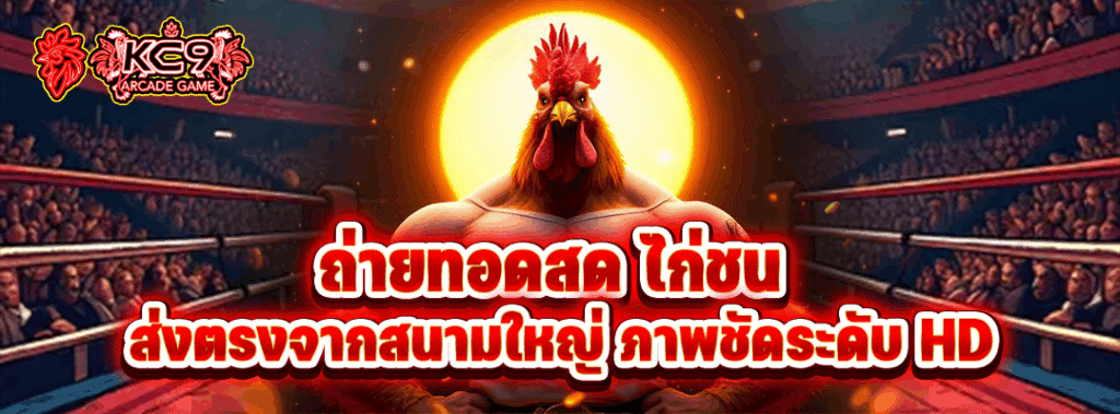 ถ่ายทอดสด ไก่ชน