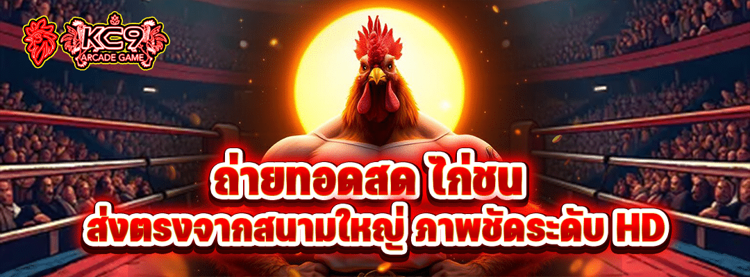 ถ่ายทอดสด ไก่ชน