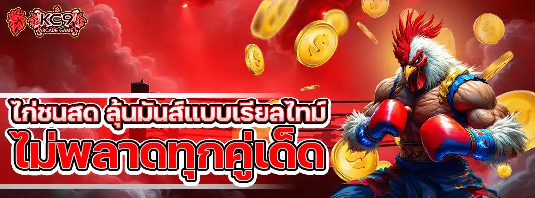 ไก่ชนสด