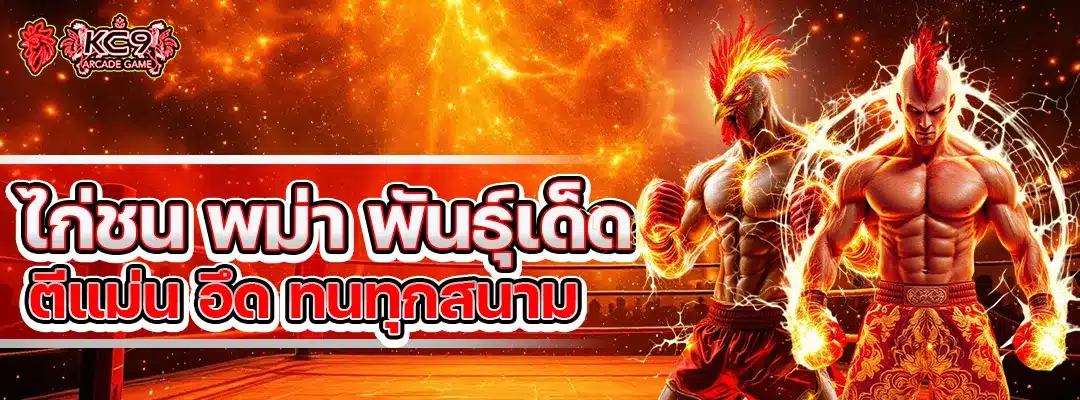 ไก่ชน พม่า