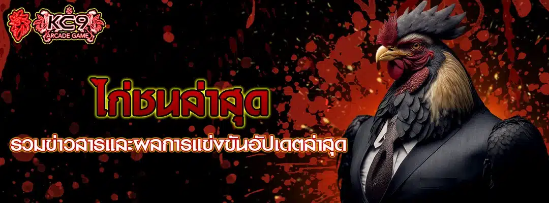 ไก่ชนล่าสุด