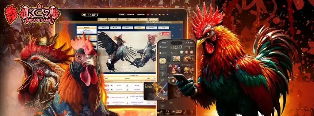 ไก่ชนล่าสุด
