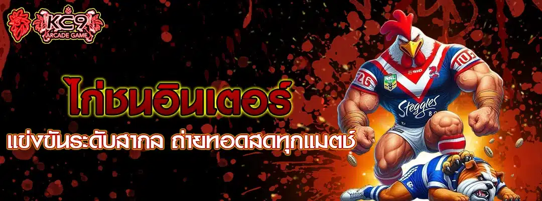 ไก่ชนอินเตอร์