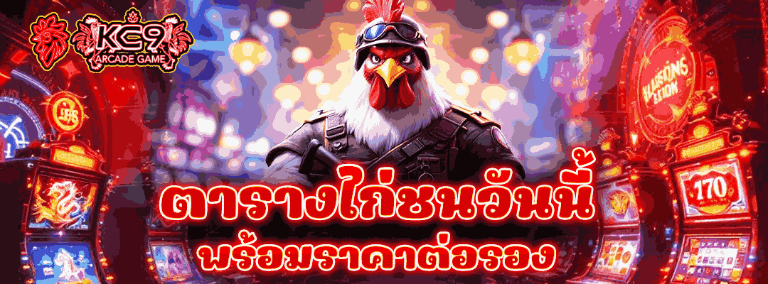 ไก่ชนวันนี้