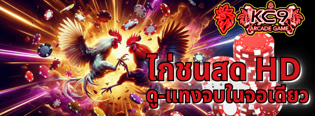 ไก่ชนสด