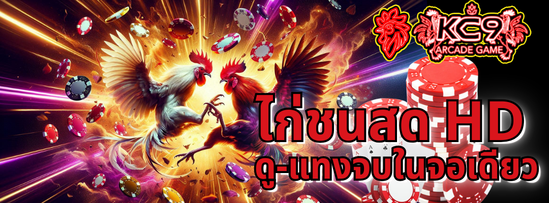 ไก่ชนสด